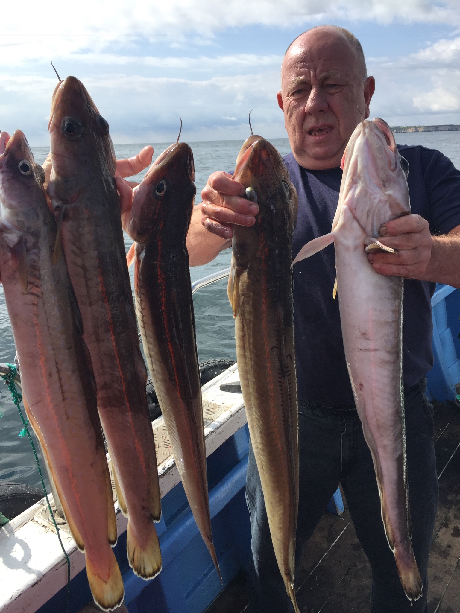 image of some fishing