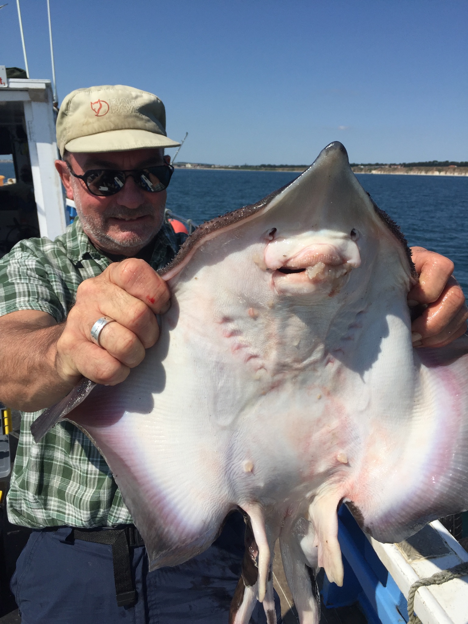 image of some fishing