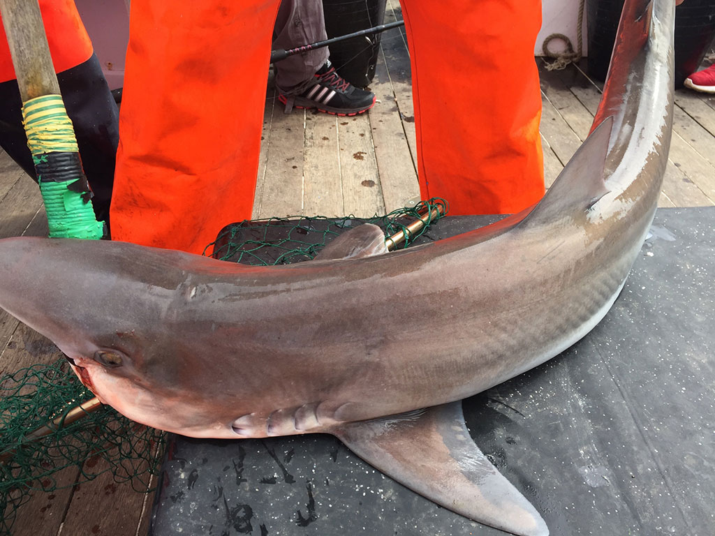 Bridlington Fishing Trip image 04