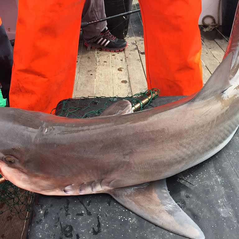 Bridlington Fishing Trip image