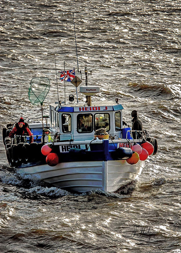 Bridlington Fishing Trip image 09