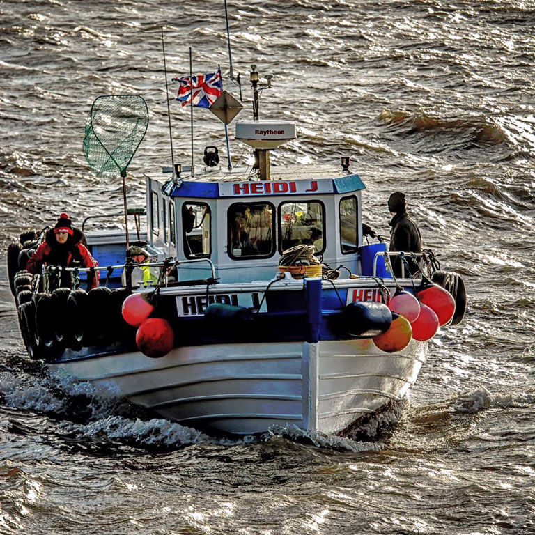 Bridlington Fishing Trip image