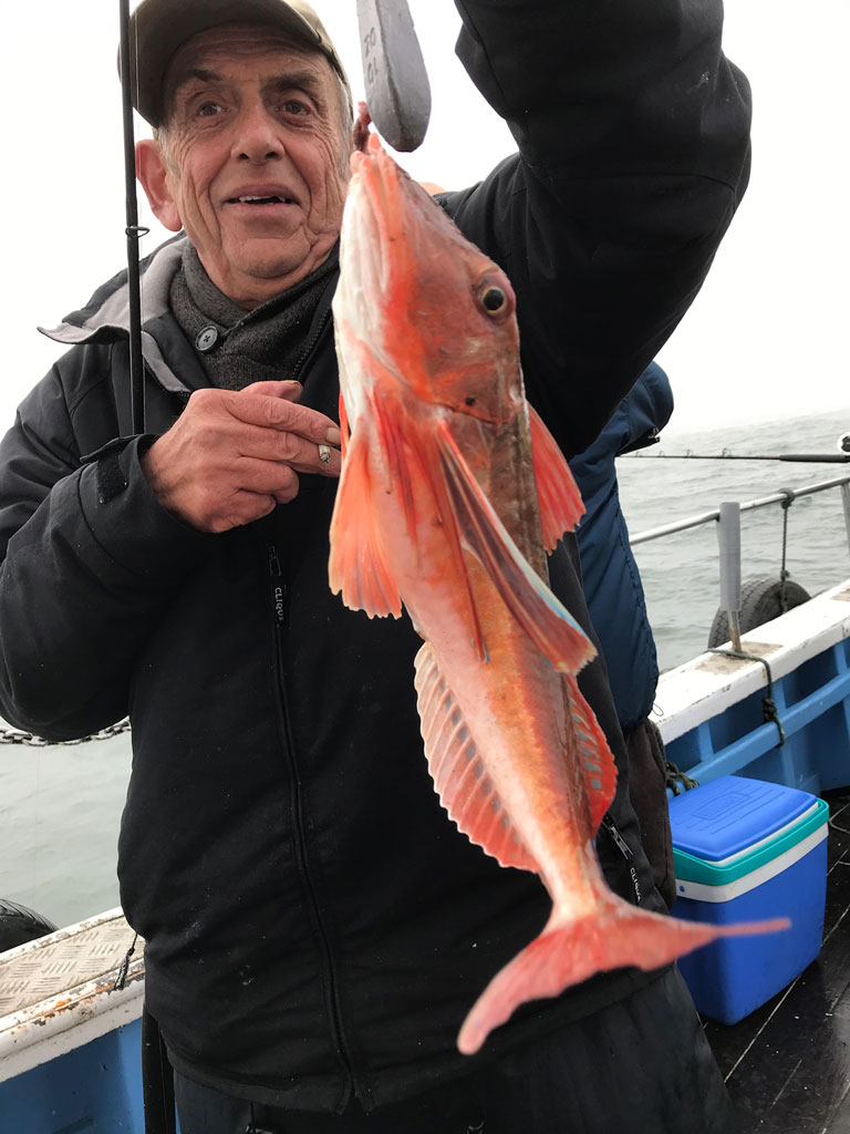 Bridlington Fishing Trip image 11