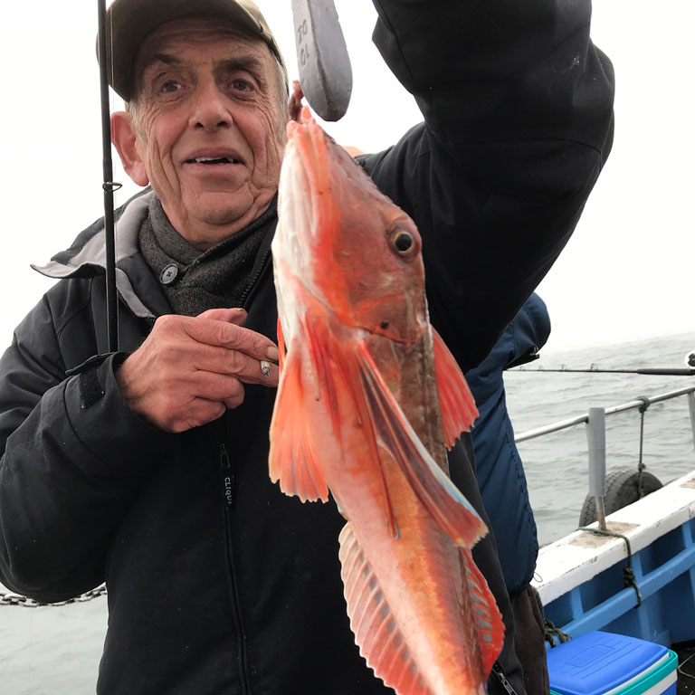 Bridlington Fishing Trip image