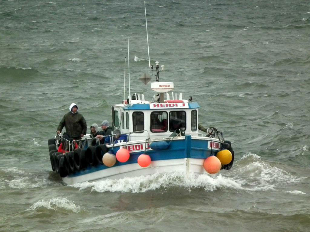 Bridlington Fishing Trip image 20