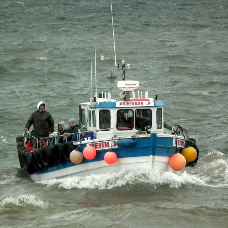 Bridlington Fishing Trip image